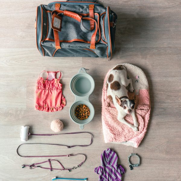 TierBed Produktfoto