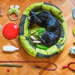 TierBed Produktfoto